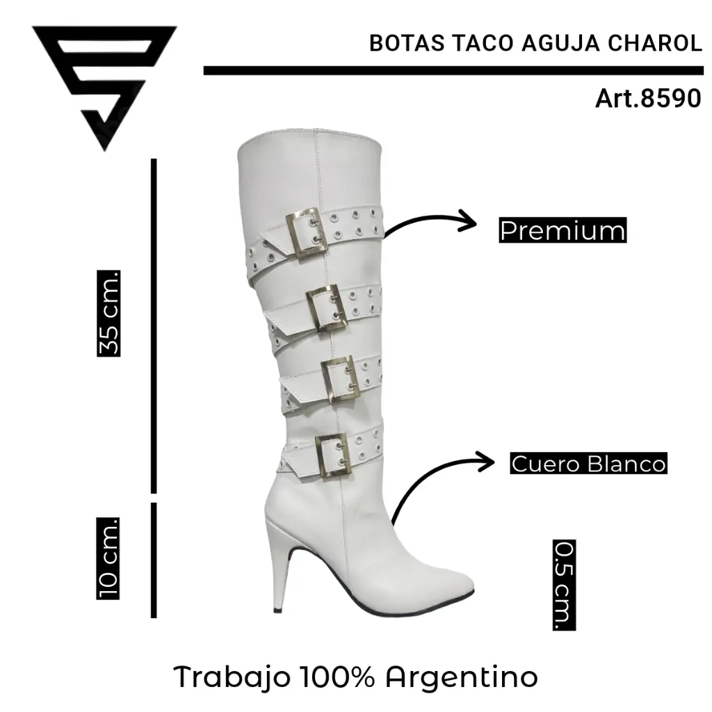 info versa (15).webp