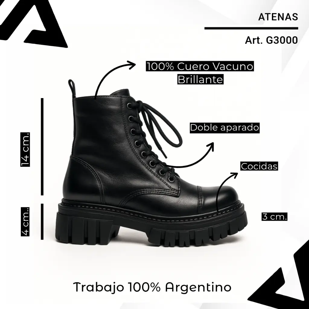 info versa (51).webp