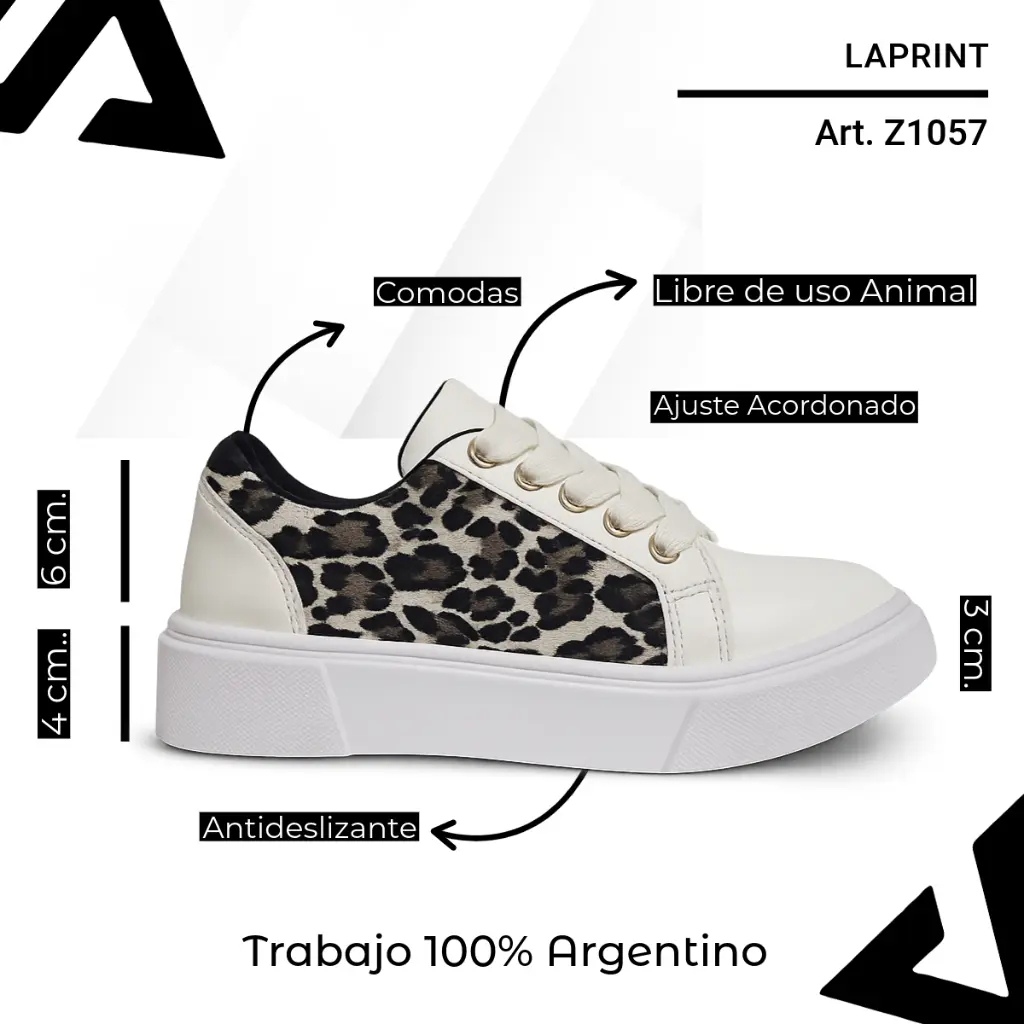 info versa (11).webp