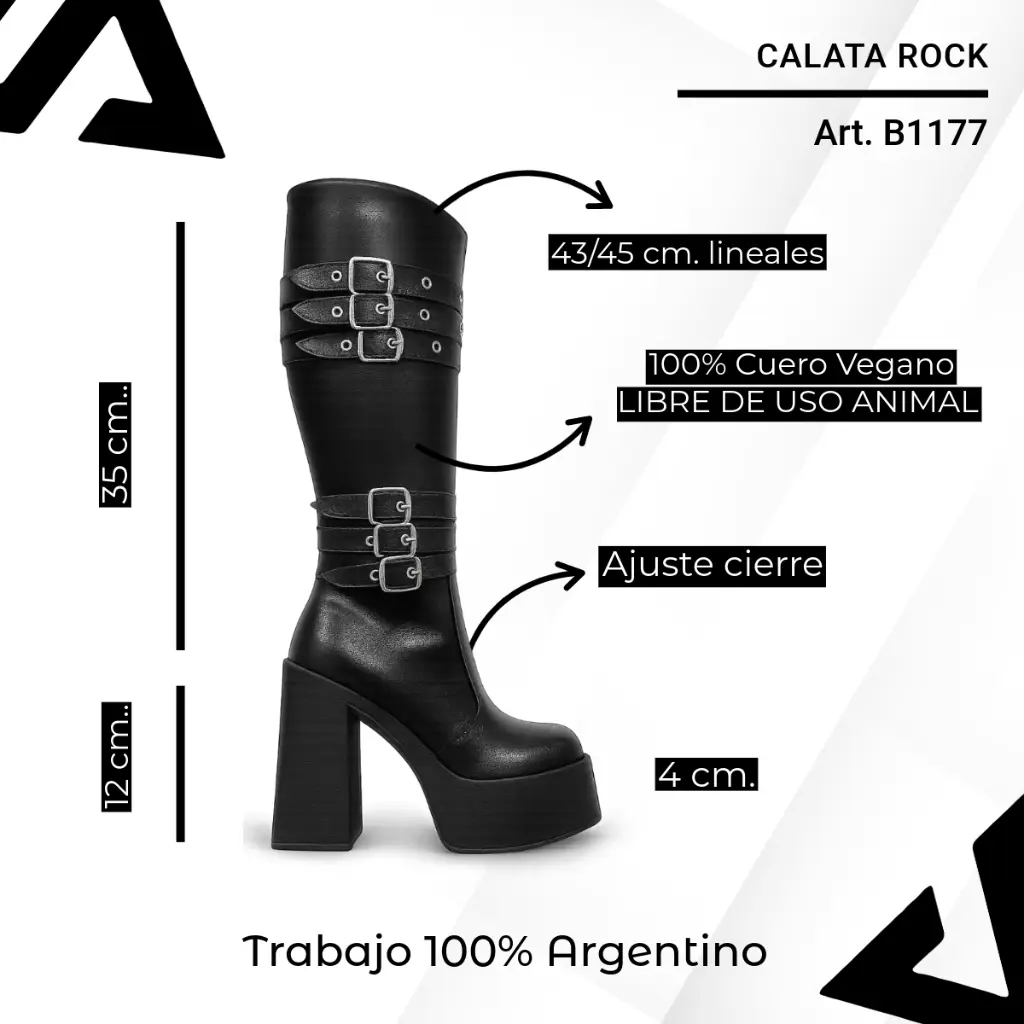 info versa (17).webp