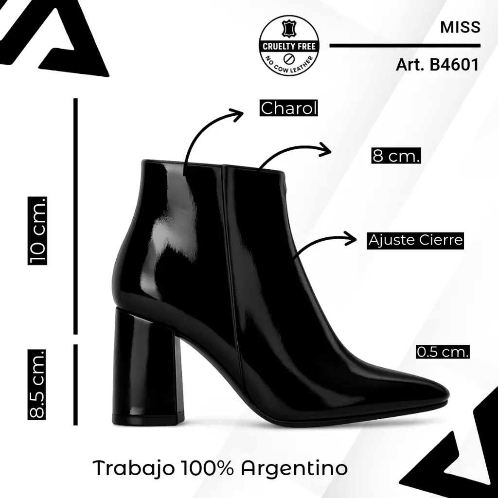 info versa (32).webp