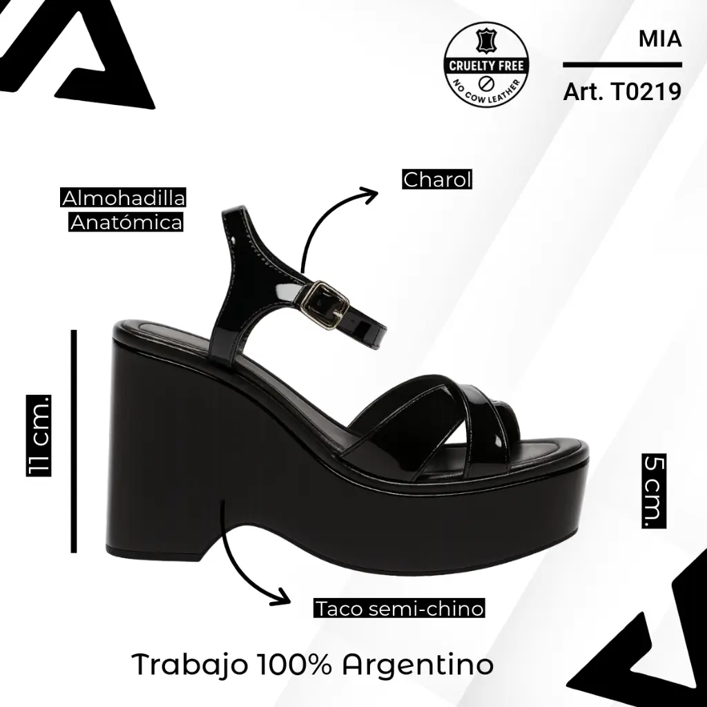 info versa (42).webp