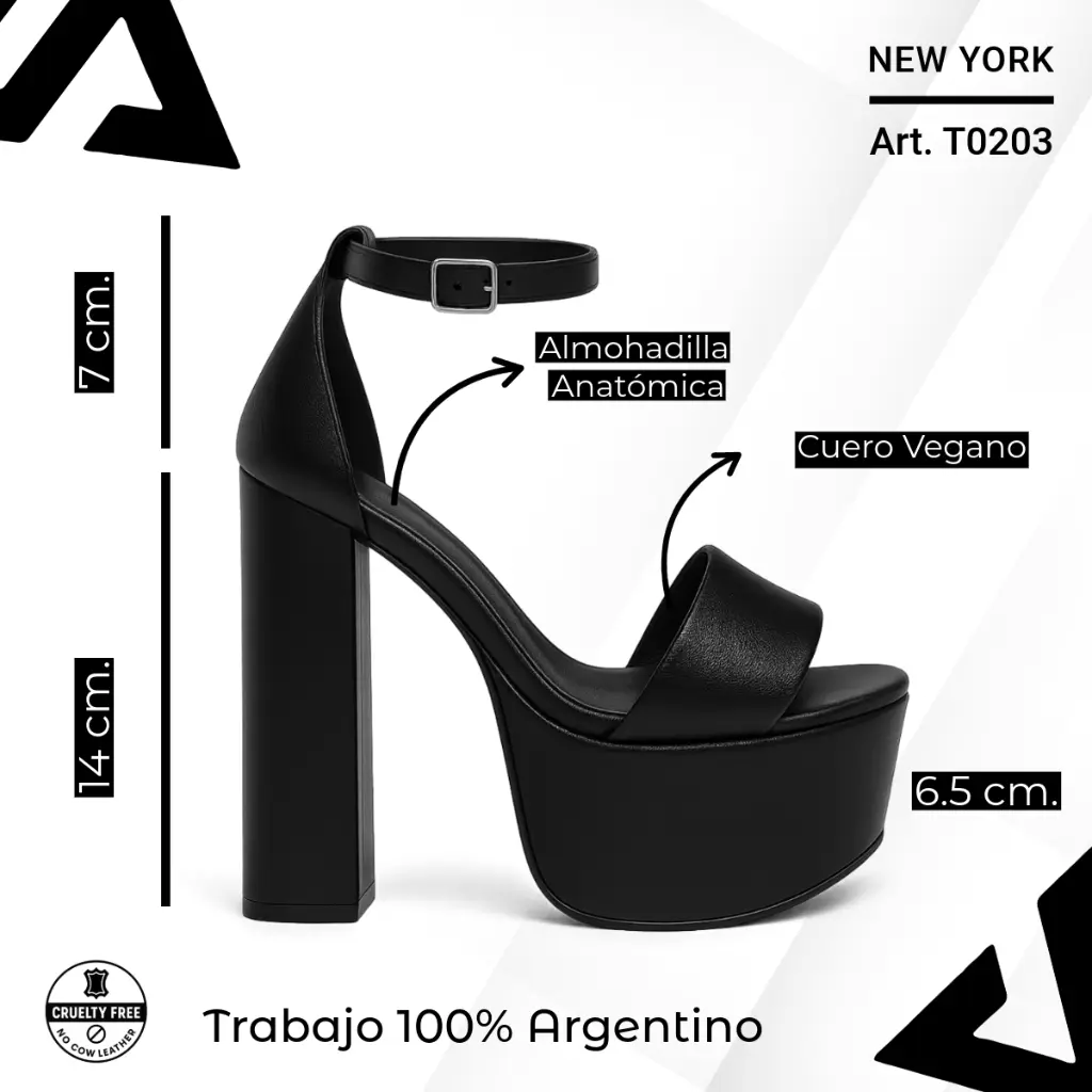 info versa (43).webp