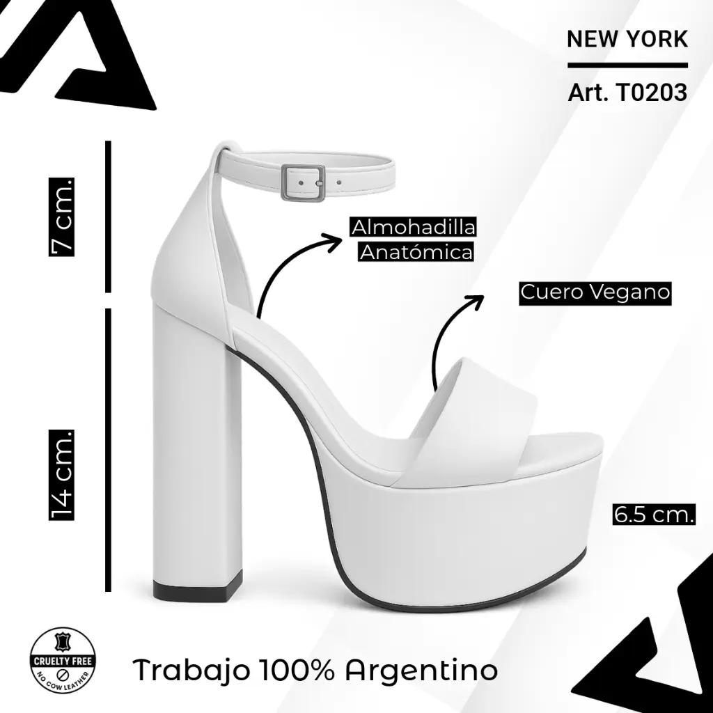 info versa (44).webp