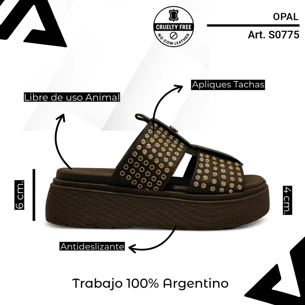 info versa (50).webp