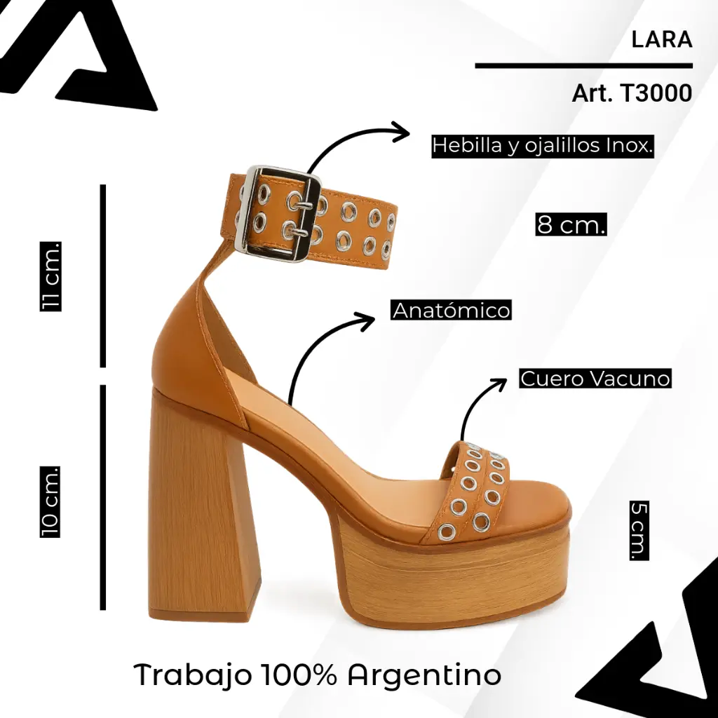 info versa (56).webp