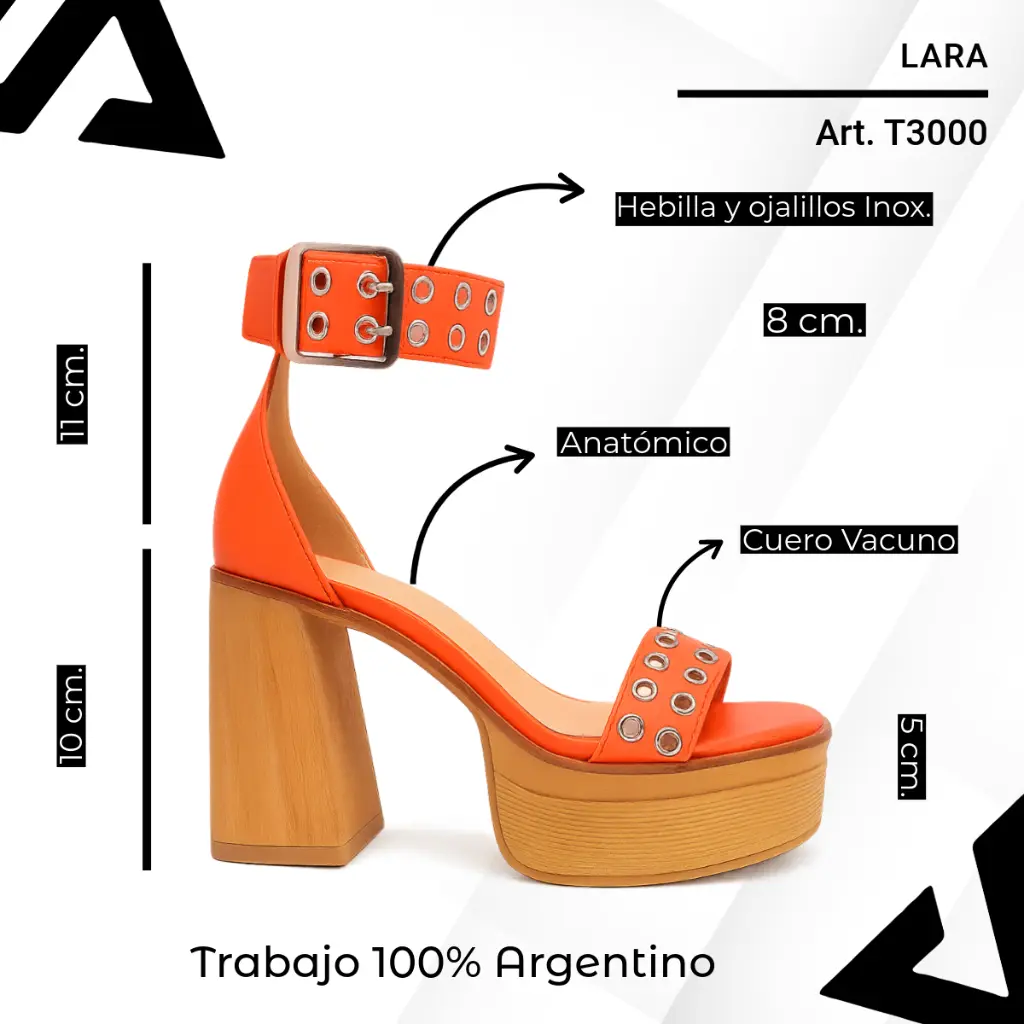 info versa (57).webp