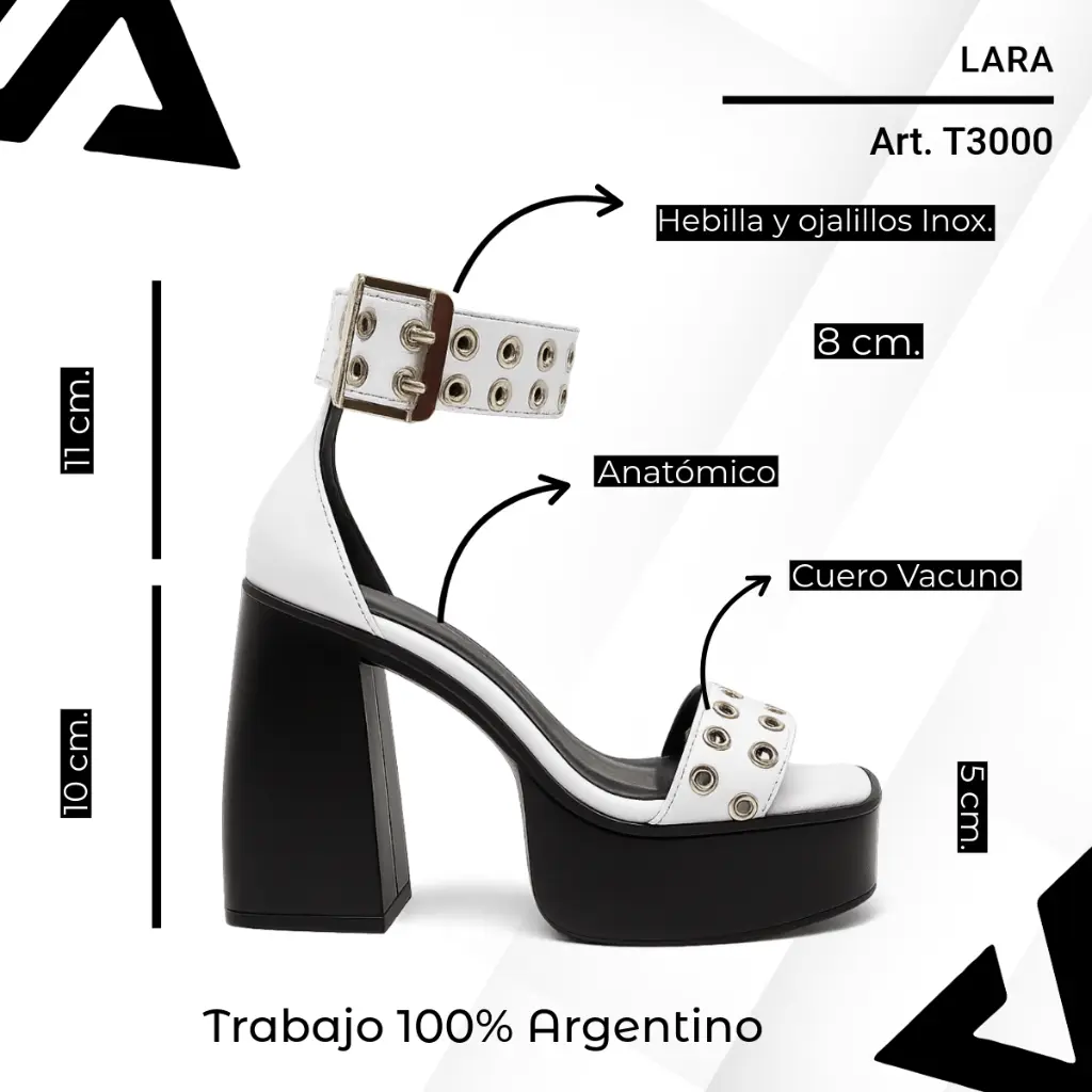 info versa (55).webp