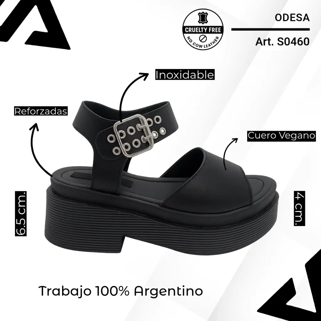 info versa (60).webp