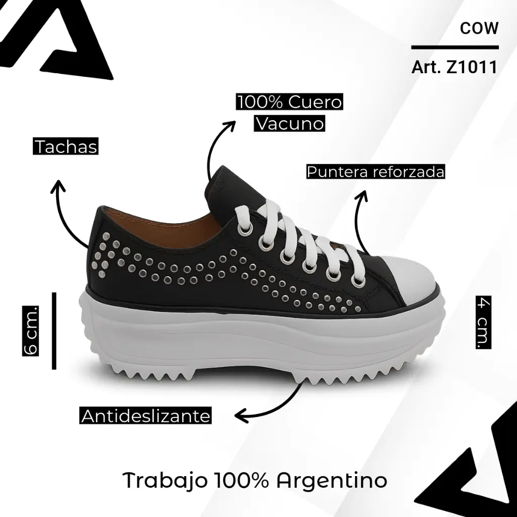 info versa (65).webp