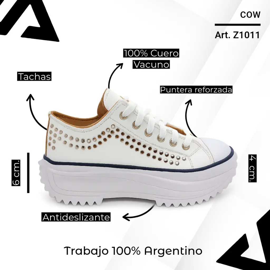 info versa (66).webp