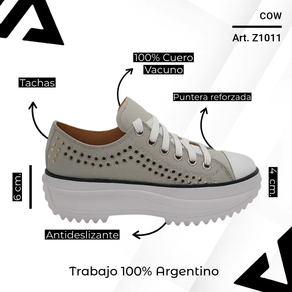 info versa (67).webp