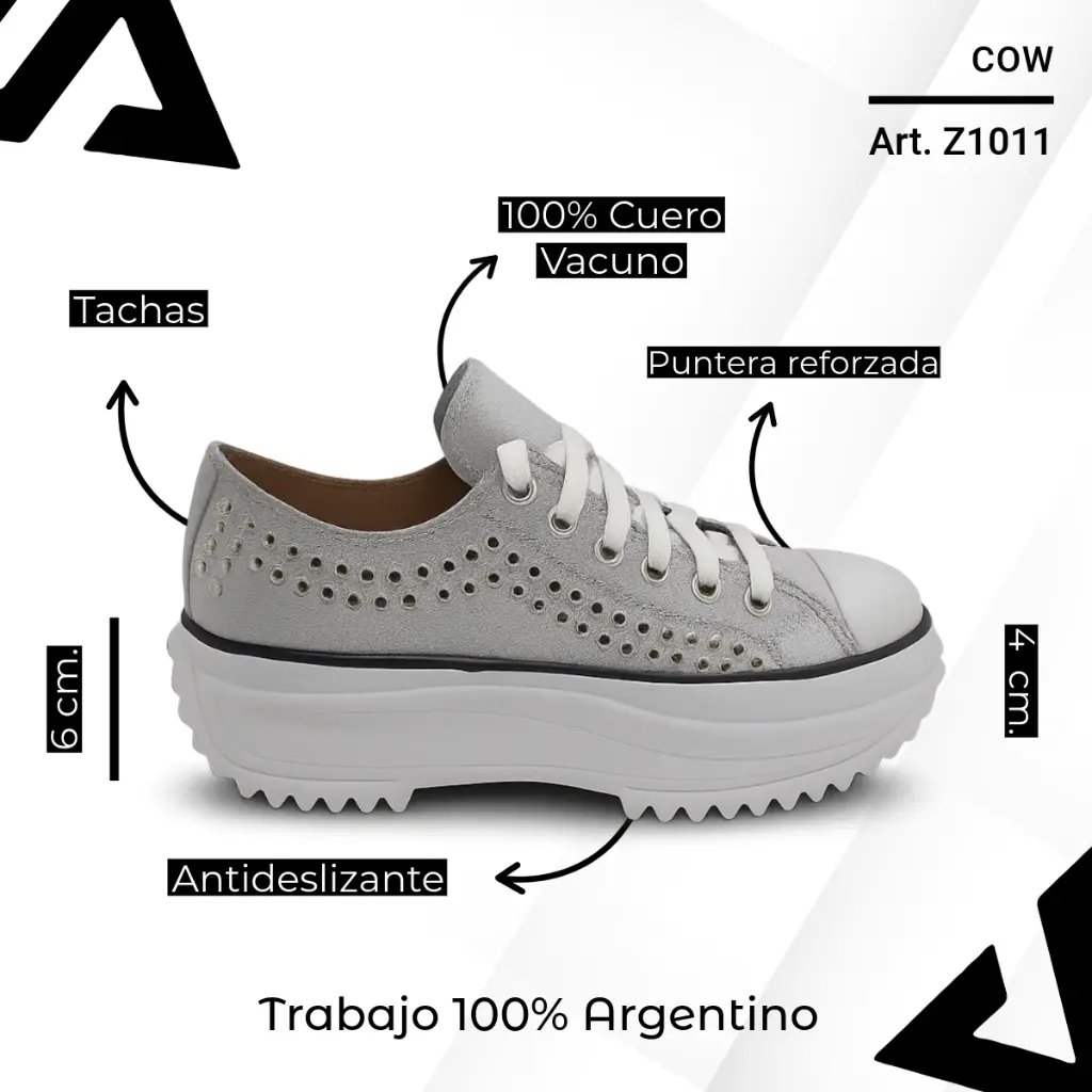 info versa (64).webp