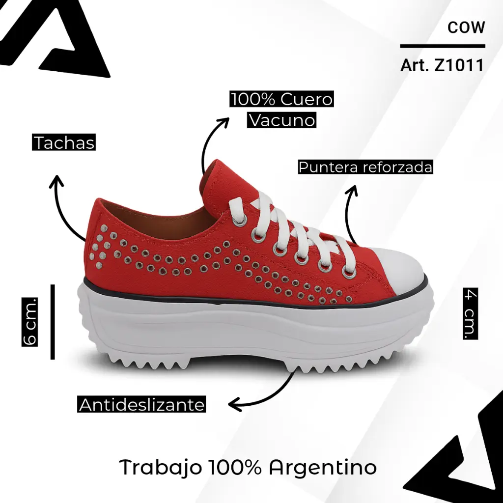 info versa (63).webp