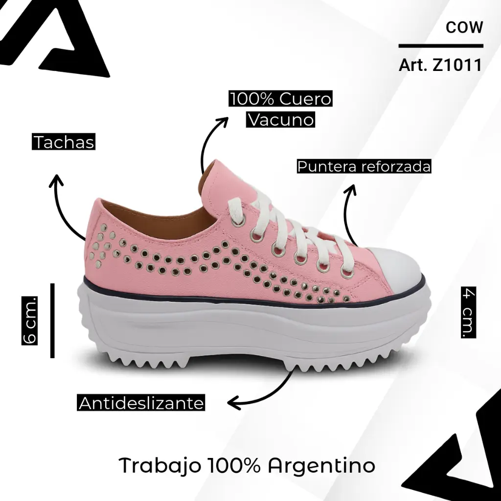 info versa (62).webp