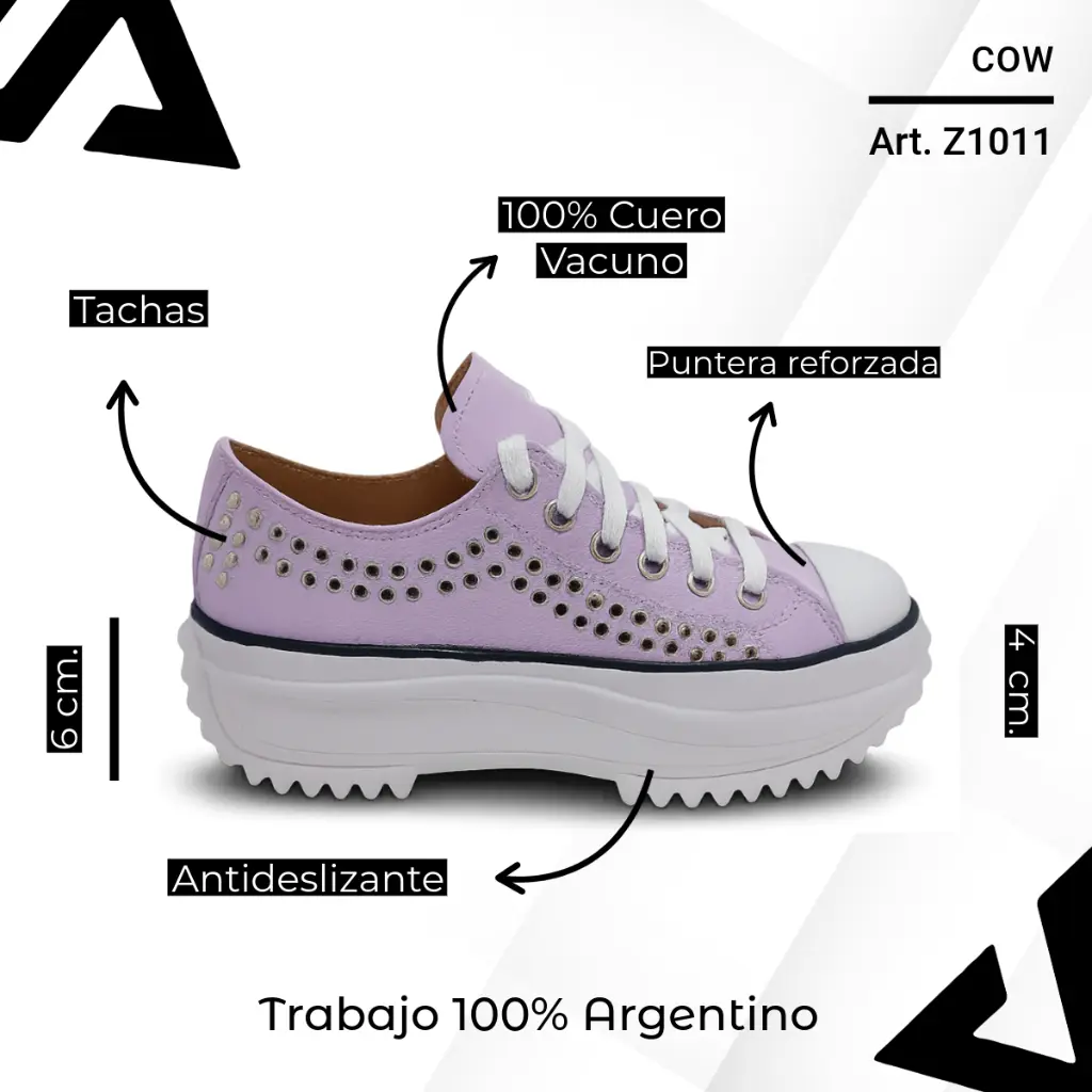 info versa (61).webp