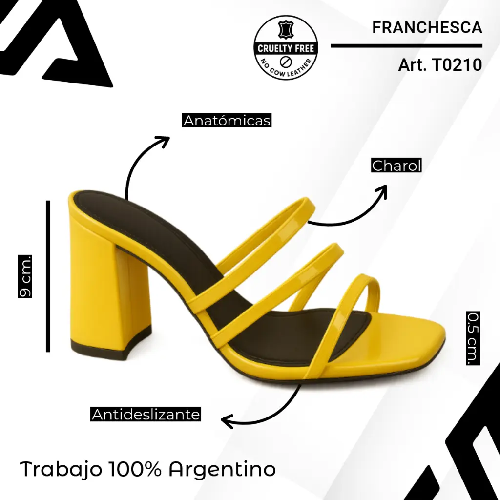 info versa (78).webp