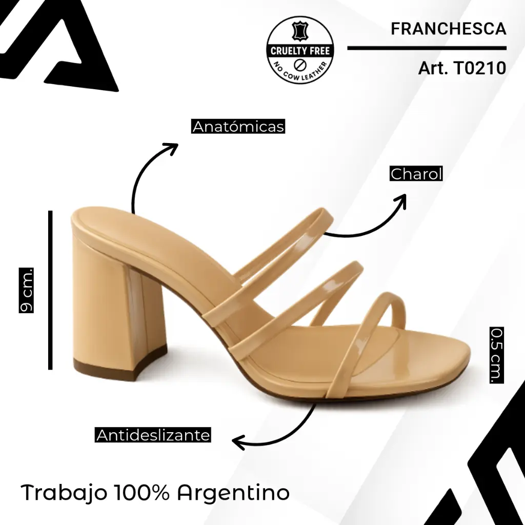 info versa (77).webp