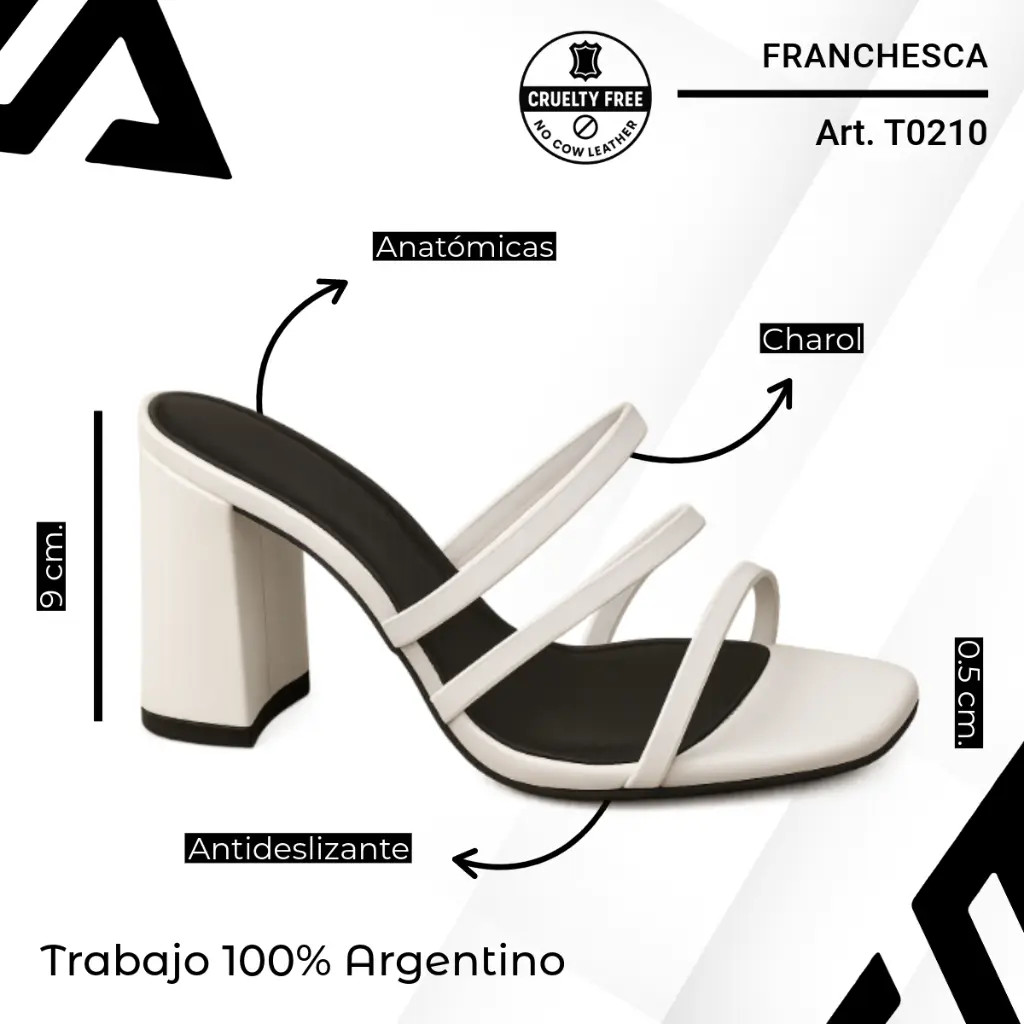 info versa (79).webp