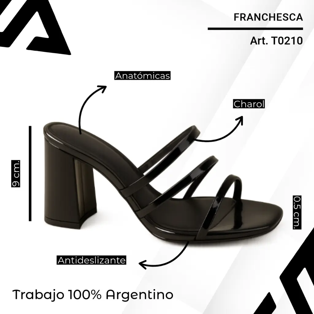 info versa (76).webp