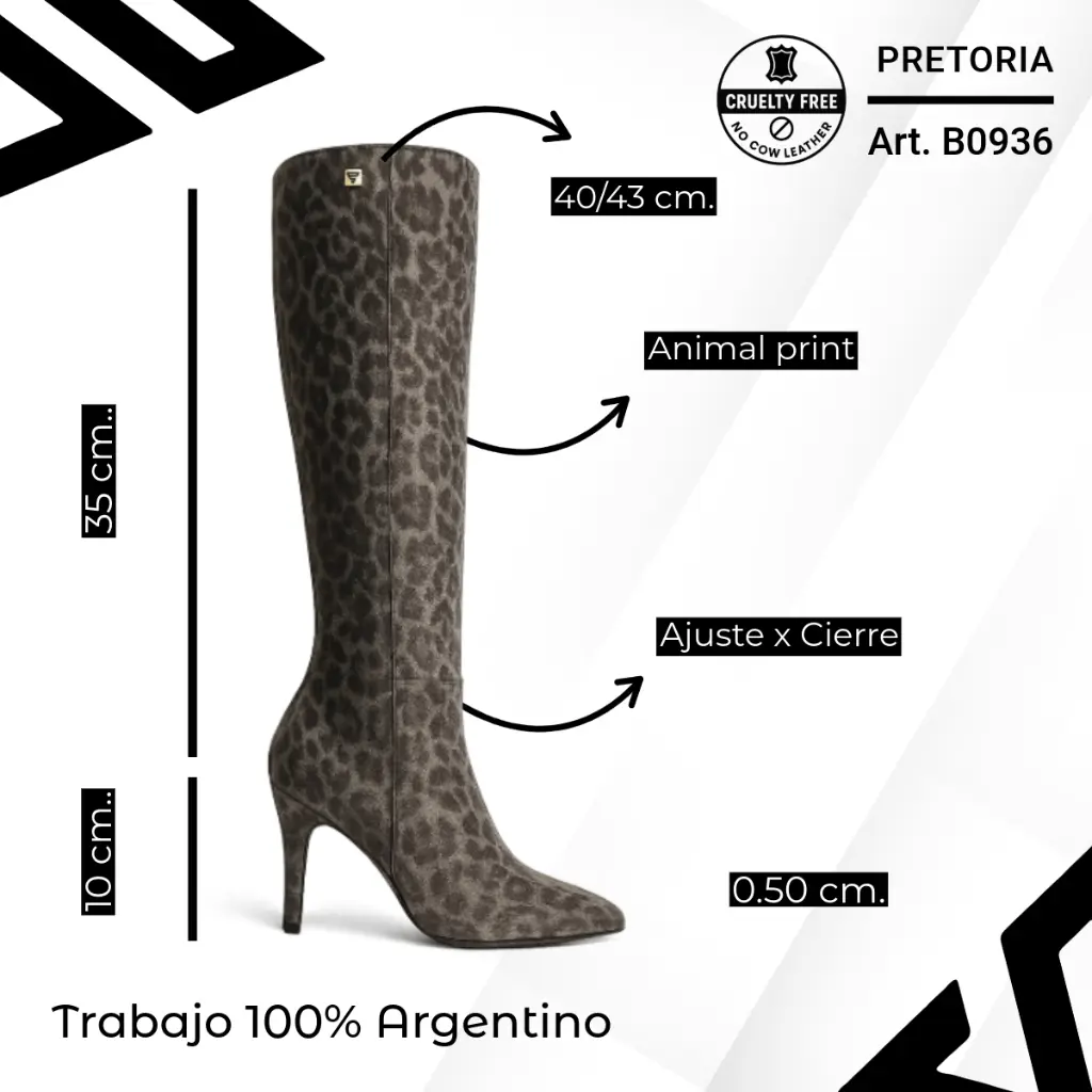 info versa (87).webp