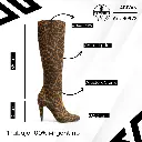 info versa (90).webp