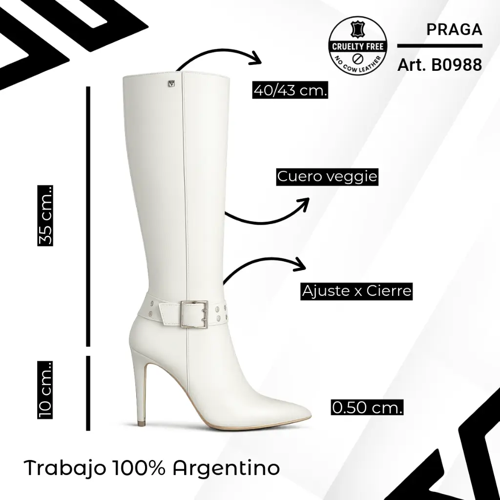 info versa (93).webp