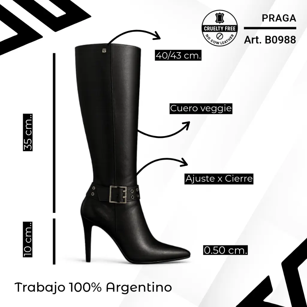 info versa (92).webp