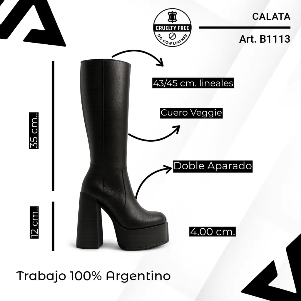 info versa (96).webp