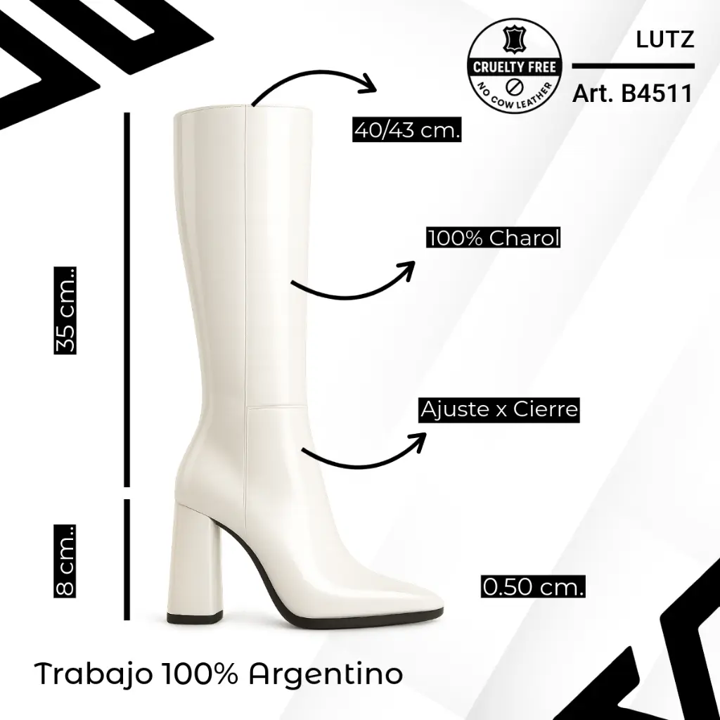 info versa - 2025-09-29T170329.234.webp