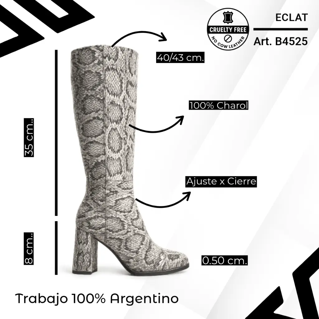 info versa - 2025-09-29T182720.181.webp