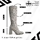 info versa - 2025-09-29T182720.181.webp