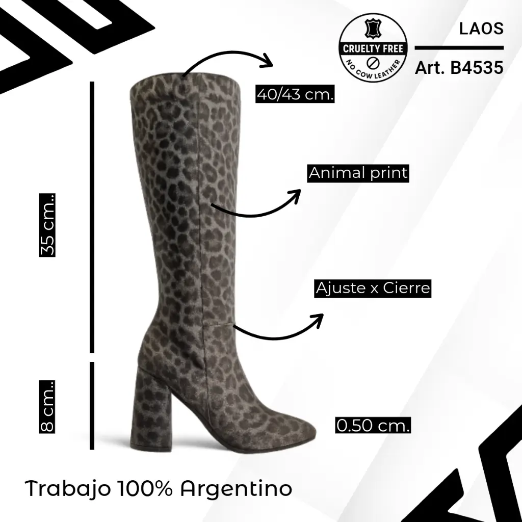 info versa - 2025-09-29T205005.899.webp