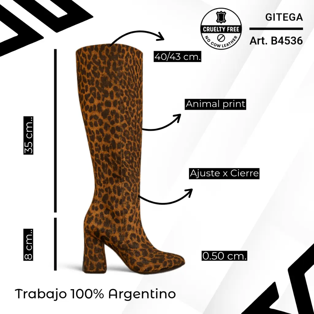 info versa - 2025-09-30T083102.526.webp