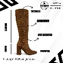 info versa - 2025-09-30T083102.526.webp