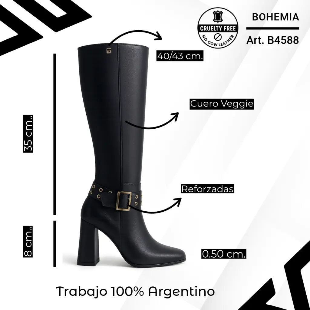 info versa - 2025-10-05T130048.515.webp