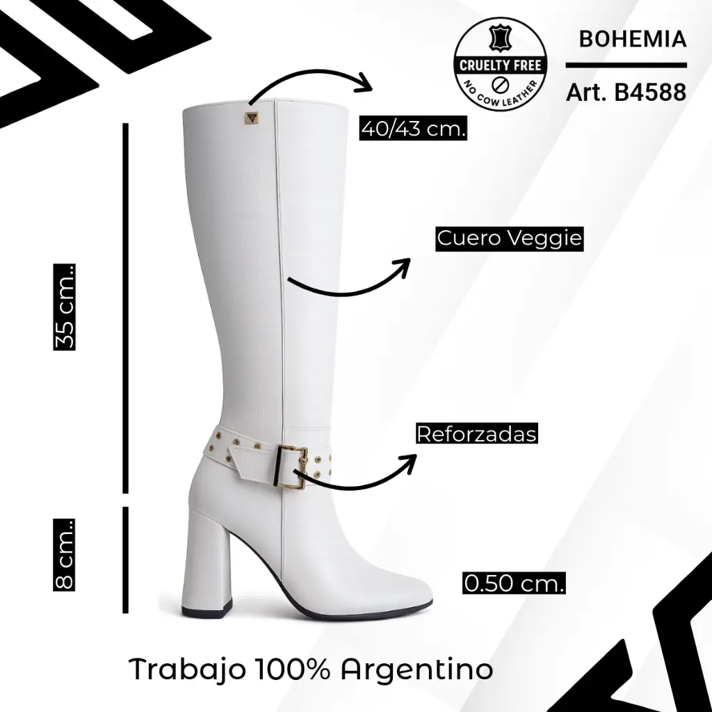 info versa - 2025-10-05T130111.102.webp