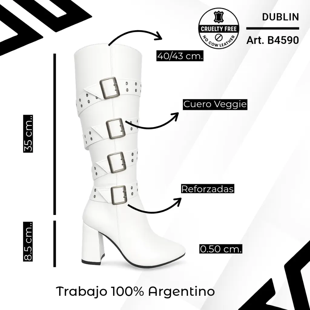 info versa - 2025-10-05T134302.339.webp