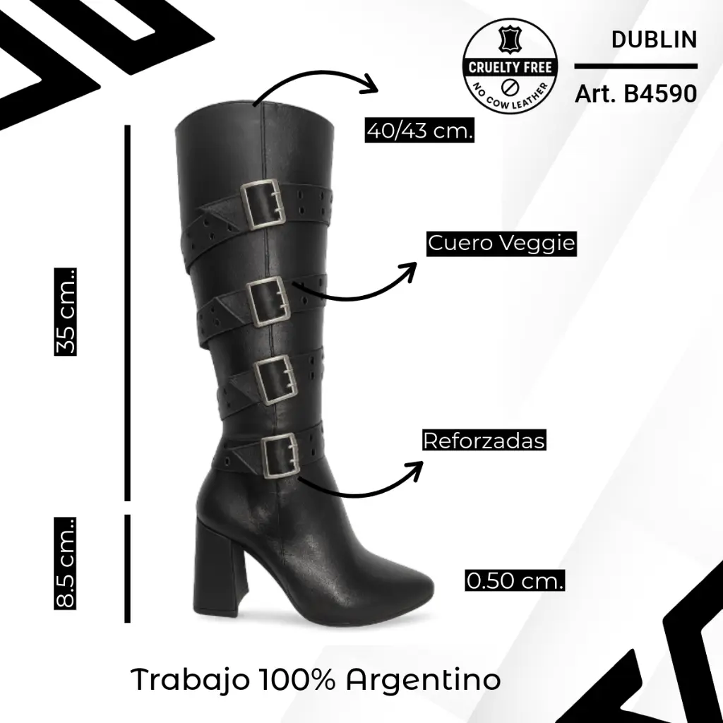 info versa - 2025-10-05T133541.971.webp