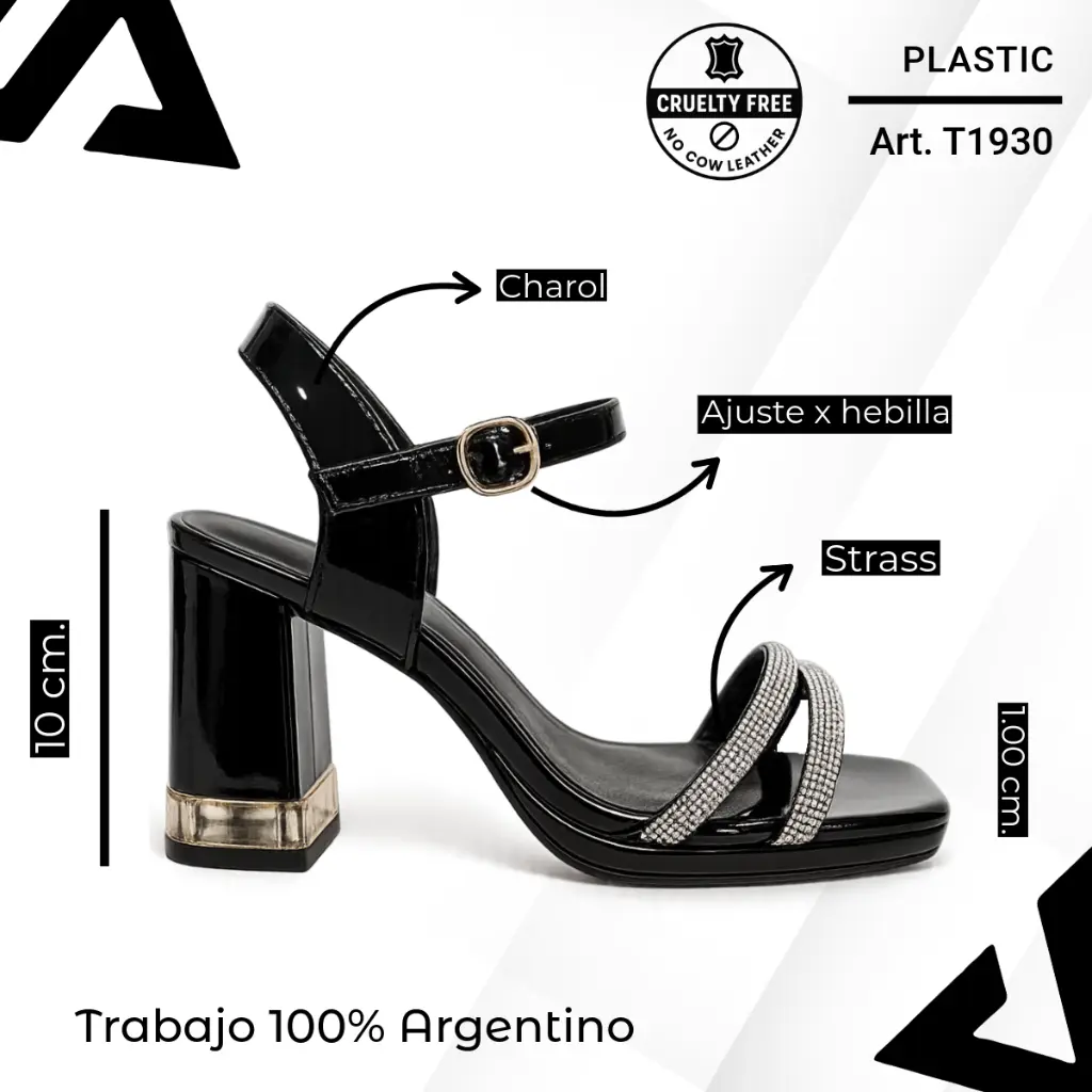 info versa - 2025-10-08T172405.711.webp