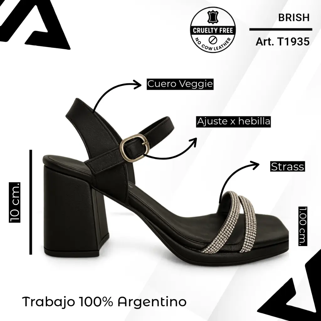 info versa - 2025-10-09T170042.433.webp