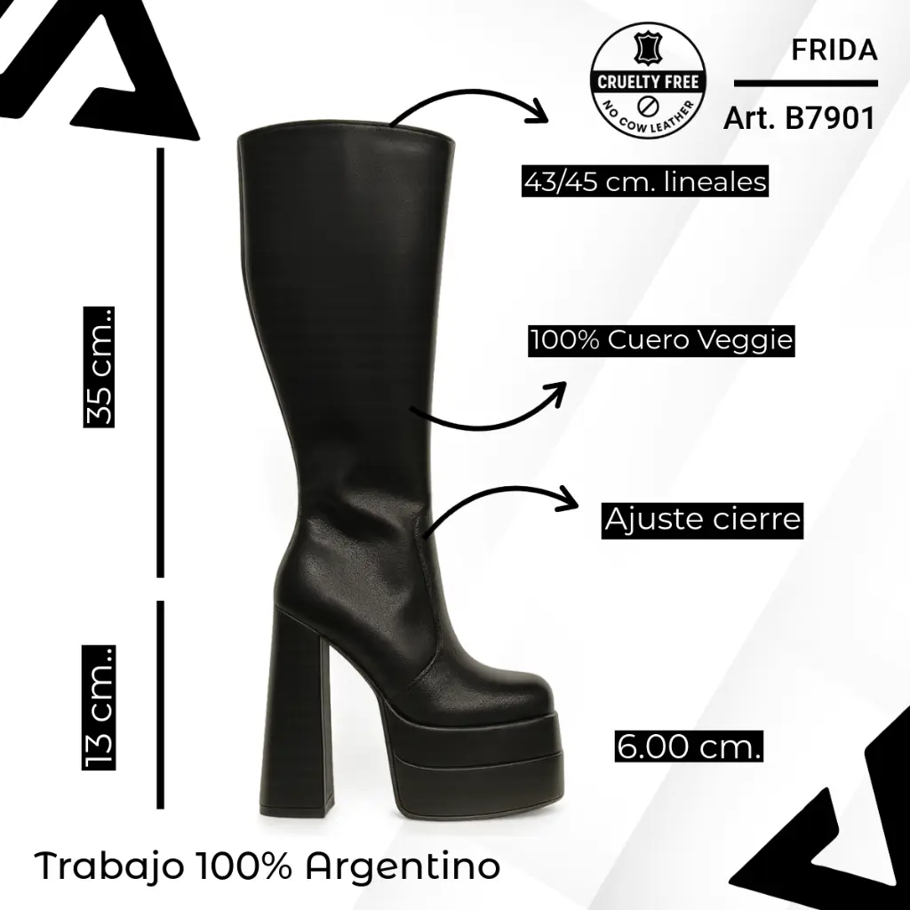 info versa - 2025-10-10T152107.911.webp