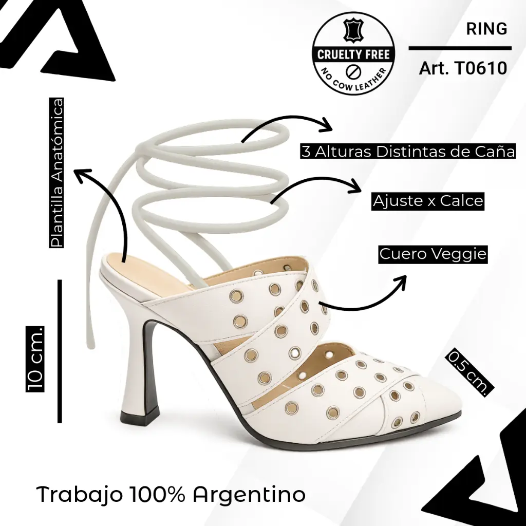 info versa - 2025-10-19T105330.027.webp