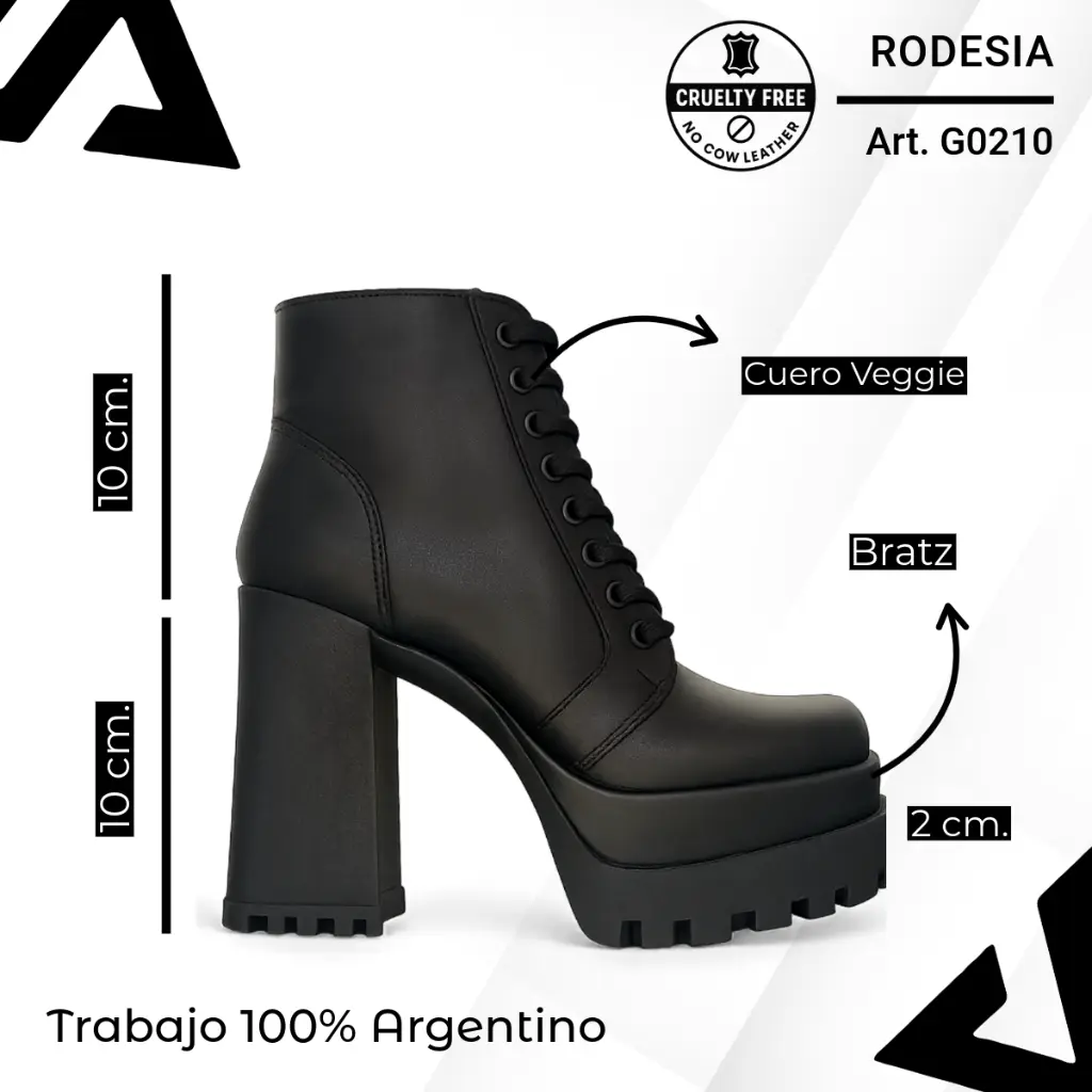 info versa - 2025-10-21T192149.477.webp