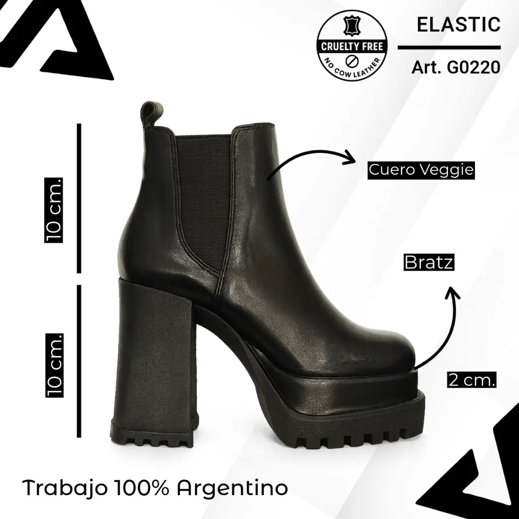 info versa - 2025-10-23T084314.212.webp