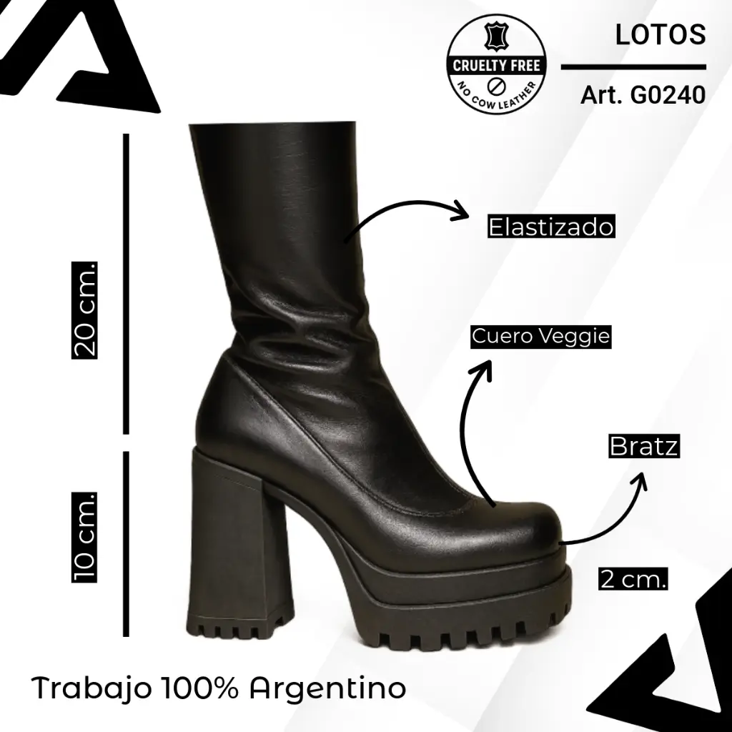 info versa - 2025-10-24T115156.867.webp