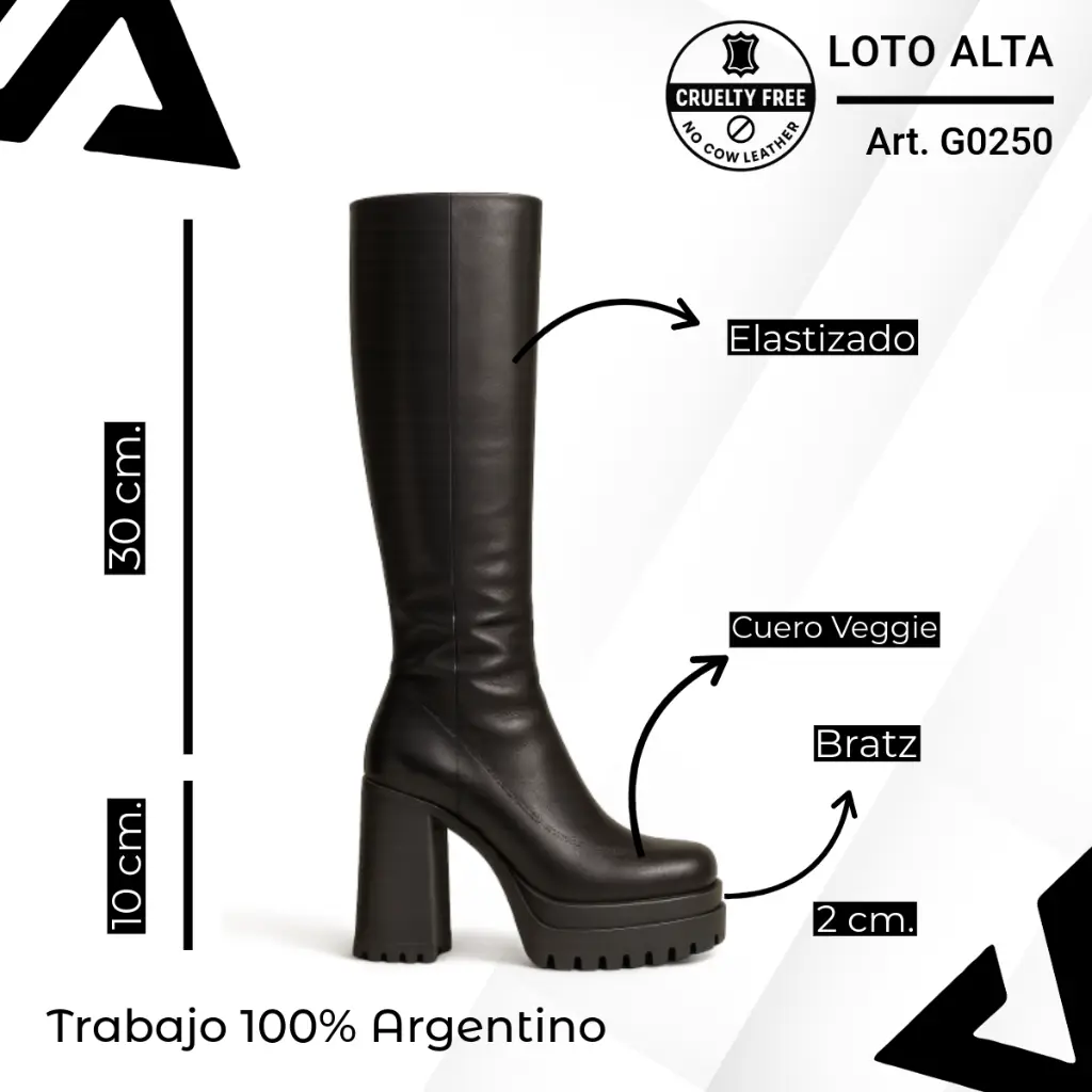 info versa - 2025-10-24T182721.043.webp