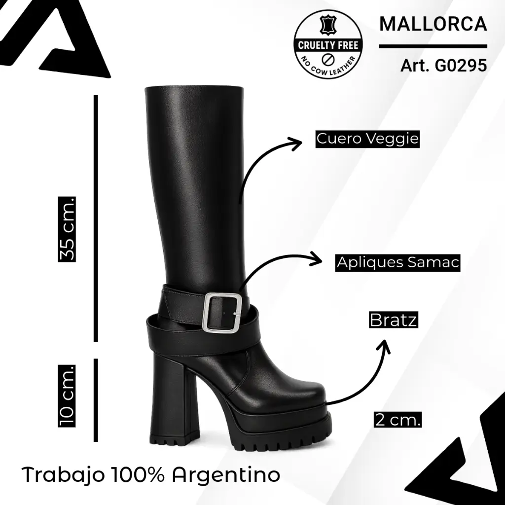 info versa - 2025-10-26T073034.751.webp