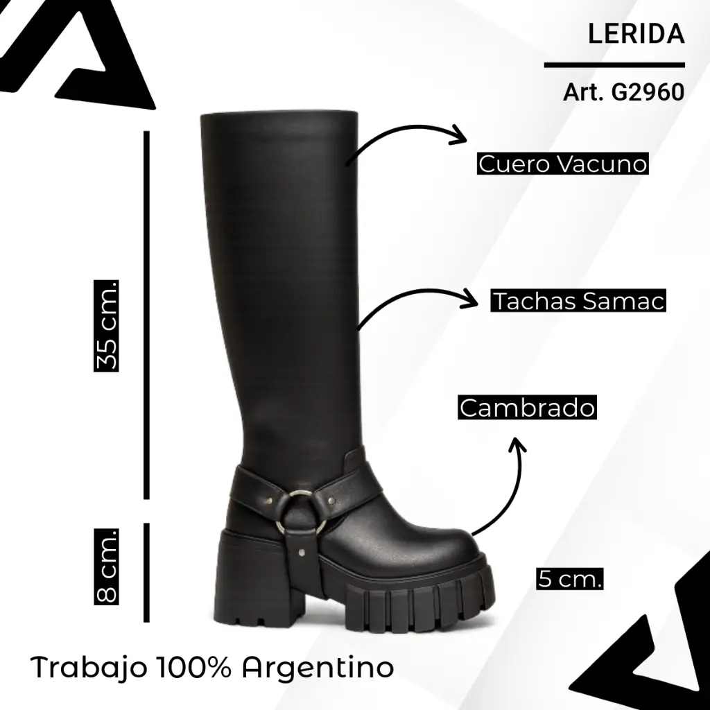 info versa - 2025-10-29T202315.566.webp