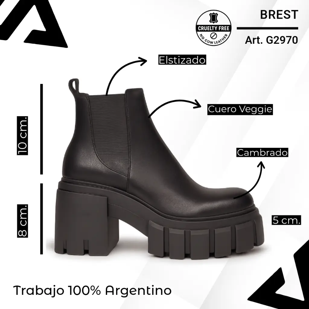 info versa - 2025-10-30T081923.259.webp